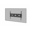 iiyama MD-WM6040 monitoriaus laikiklis arba stovas Siena Juoda
