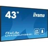 Iiyama Monitorius 43 cale lh4365uhsb-b1 24/7, ips, Android 11, 4k, 800cd, iisignage2, sdm, 2x hdmi, dp, 2x usb, 2x 10w, rj45, wifi, 4/32 pozi 400 x 400 (vesa)