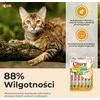 Inaba cat churu varieties - vištiena - przysmak katei 20 x 14 g
