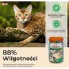 Kačių Priedas - INABA Churu Įvairovės Vištiena ir Tunas 50 x 14g Be Gluteno