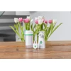 Medisana NI 200 nasal irrigator