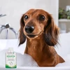 JM SANTE POLIDERM SZAMPON - SASZETKA 15ml