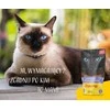 Kačių Maistas - JOSERA Vištienos Filė su Veršiena Drėgnas Maistas 70g Be Glitimo