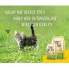 Josera kitten grainfree - sausas kačių maistas - 2kg