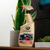 Automobilinis oro gaiviklis K2 DEOCAR ATOM, 700 ml
