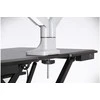 Laikiklis Kensington Pojedynczy uchwyt na monitorius smartfit one-touch