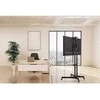 Laikiklis Manhattan mobilus televizoriaus stovas LED/LCD/PDP 37–70 colių