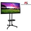 Laikiklis Profesionalus televizoriaus stovas ant ratų maclean mc-661 max 55kg max 600x400