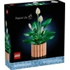 LEGO® Klocki botanicals skrzydłokwiat 11504