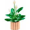 LEGO® Klocki botanicals skrzydłokwiat 11504