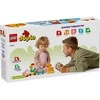 LEGO® DUPLO Gyvūnų traukinys 10412
