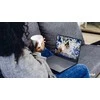 Nešiojamas kompiuteris Lenovo ThinkBook 14 2-in-1 G5 IAU Intel Core Ultra 5 225U Hybrid (2-in-1) 35.6 cm (14") Jutiklinis ekranas WUXGA 16 GB DDR5-SDRAM 512 GB SSD Wi-Fi 6E (802.11ax) Windows 11 Pro English Pilkas