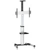Laikiklis LogiLink Vesa TV vežimėlis, max 50kg, 37-70 colių