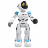Madej Robot r/c