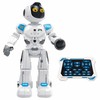 Madej Robot r/c