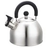 Maestro MR-1300 virdulys 2 L Sidabrinis