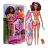 Lėlė banglentininkė Barbie HPL69, su priedais