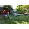 Mattel Jurassic World Mėlyna Mega Giant figūrėlė 45 cm aukščio ir 106 cm ilgio GCT93