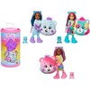 Mattel Lėlė Barbie Chelsea Care Bears miško draugai