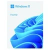 Operacinės sistemos Microsoft Windows 11 Home, 64Bit, USB atmintinė
