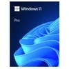 Operacinė sistema Microsoft Windows 11 Pro, 64 bitų, USB atmintinės dėžutė