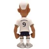 MINIX TOTTENHAM – RICHARLISON