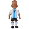 MINIX WC LEGENDS ARGENTINA - JUAN SEBASTIAN VERON