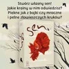 Nasza Ksiegarnia Svajonių žaidimas