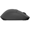 Natec Kite belaidė pelė silent 4000 DPI juodas