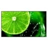 Monitorius NEC MultiSync E758, 75"