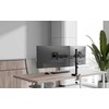 NewStar Laikiklis do monitora na biurko / dual ds60-600bl2 neomounts