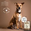 Ollo Grynas elnias 850g