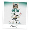 OLLO Katė Nr. 2 antiena Mono - šlapias kačių maistas - 85 g
