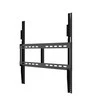 Monitorius Optoma N3651K
