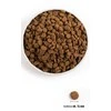 Orijen original - sausas maistas šuniui - 6kg