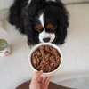 PAKA ZWIERZAKA PEPE Venison mono – šlapias ėdalas šunims – 800g