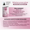 PAKA ZWIERZAKA Pepe Vet Gastrointestinal Low fat antiena – drėgnas ėdalas šunims – 400g