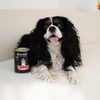 PAKA ZWIERZAKA Seventh Heaven triušiena with blueberries Mono - šlapias šunų maistas - 400g