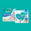 Sauskelnės-Kelnaitės PAMPERS Pants Splashers, 5 dydis 14+ kg, 10 vnt.