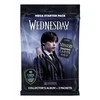PANINI trečiadienio rinkinys pradedantiesiems 00738 07381