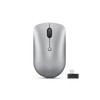 Lenovo | Compact Pelė | 540 | Wireless | Sand