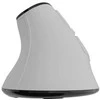 NATEC Belaidė pelė EUPHONIE PRO BT 5.0 2400DPI