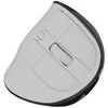 NATEC Belaidė pelė EUPHONIE PRO BT 5.0 2400DPI