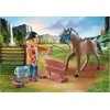 Konstruktorius Playmobil Farrier Ben and Achilles 71357