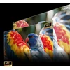 Hisense C3 DLP UHD 4K (3840x2160) 3D Sidabrinis