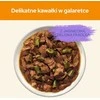 Purina Nestle Drėgnas Kačių Maistas - Purina ėriena, žaliosios pupelės 10 x 85 g