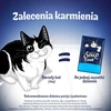 Purina Nestle Felix Original Soup Time Box žuvis – šlapias kačių maistas – 6x48g
