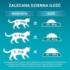 Purina Nestle One Bifensis Senior 7+ – sausas kačių maistas – 800g