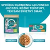 Purina Nestle ONE Sensitive Cat GiGMVChkn&Crt 60x85g