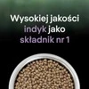 Purina Nestle Purina Pro Plan LIVECLEAR KITTEN Bogata w Indyka 1,4kg